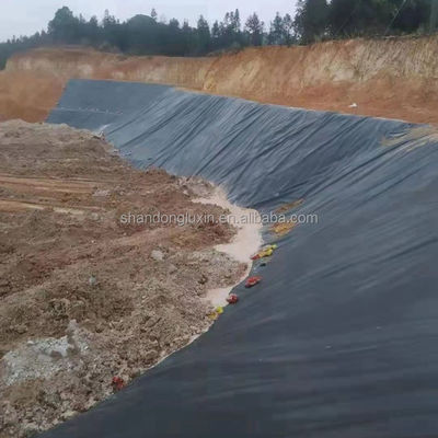 ASTM GRI-GM13 Стандартная HDPE гладкая геомембранная рыбная водоема для резервуаров для хранения воды