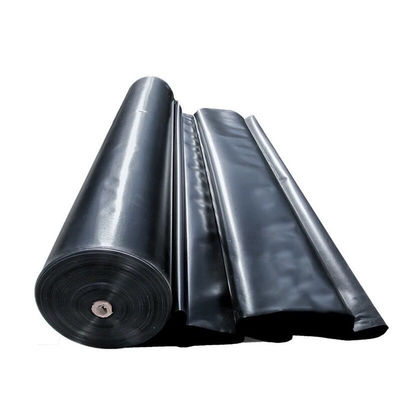 Современный дизайн 2 мм HDPE двойной гладкой геомембраны для биогазовых переваривателей двойной гладкой