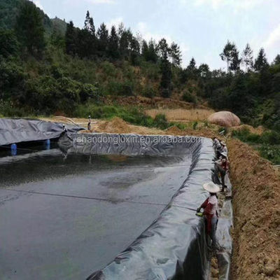2 мм геомембрана HDPE гладкий рыбный пруд линейки для противопожарной воды на свалках