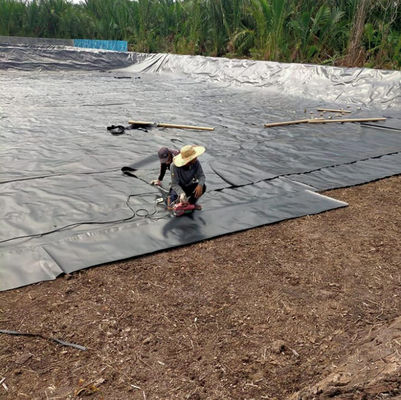 Ширина 1-8 м Двойная гладкая черная HDPE водоема для рыб креветок бассейн для рыбоводства