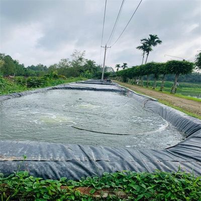 1.5 мм гладкая чёрная геомамбрана из HDPE для наружной среды Рыбный пруд