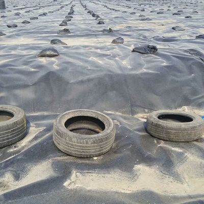 1.5 мм гладкая чёрная геомамбрана из HDPE для наружной среды Рыбный пруд