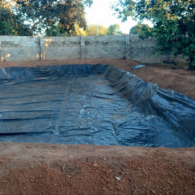 HDPE гладкая геомембрана для аквакультуры Рыбная прудовая подкладка в 0,3 мм 0,5 мм 0,8 мм толщины
