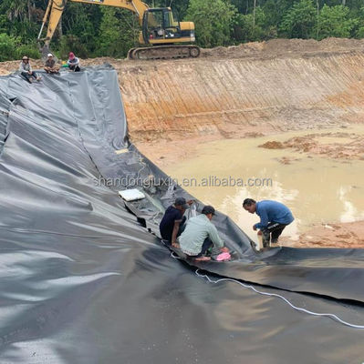 Чёрная двойная гладкая поверхность 0,5 мм HDPE геомембрана для автомобильных дорог озера и плотины рыбных прудов
