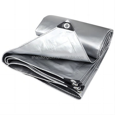 Покрытие крыши на заказ размер Gsm Pe Tarpaulin 110Gsm Lorry Pe Tarpaulin