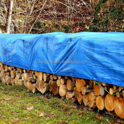Синяя ПЭ брезент для наружного HDPE ткачества и LDPE ламинированной крыши